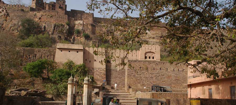 ranthambore-tour-package