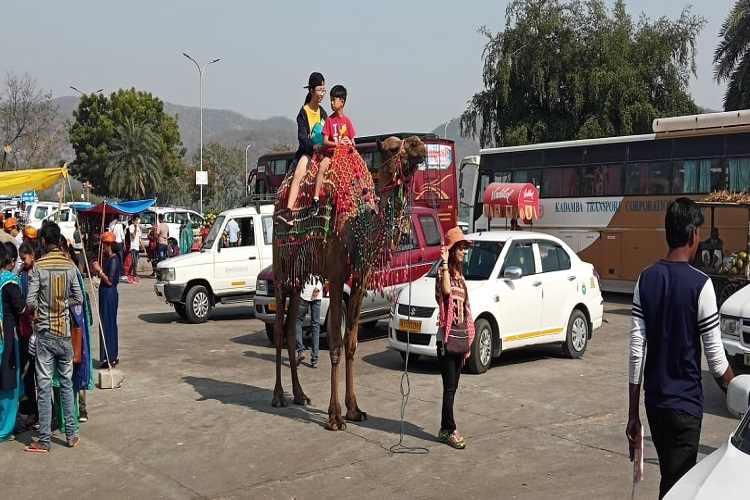 Shree Char Bhuja Travels