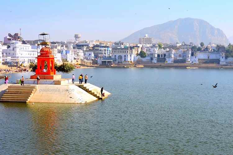 Shree Char Bhuja Travels