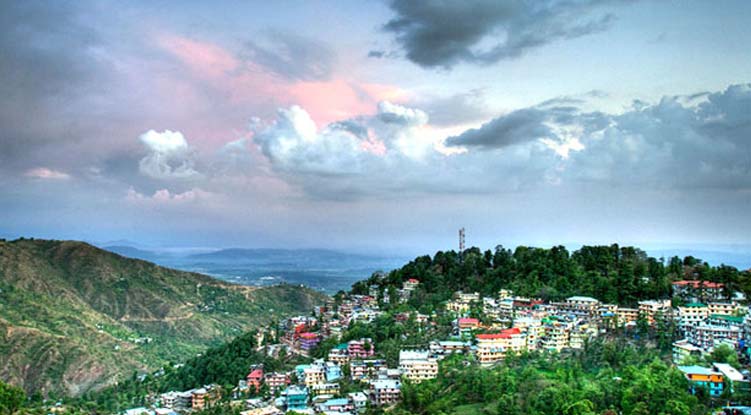 Shree Char Bhuja Travels