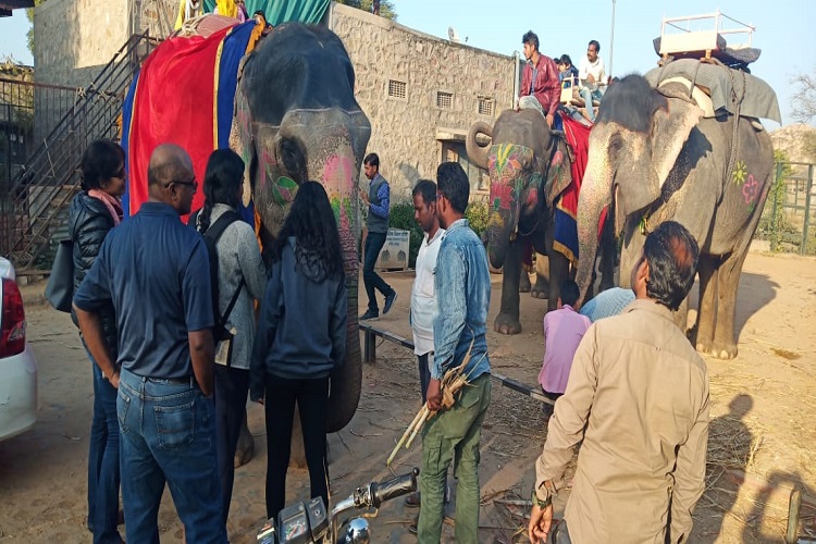 Shree Char Bhuja Travels