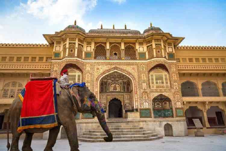 Shree Char Bhuja Travels