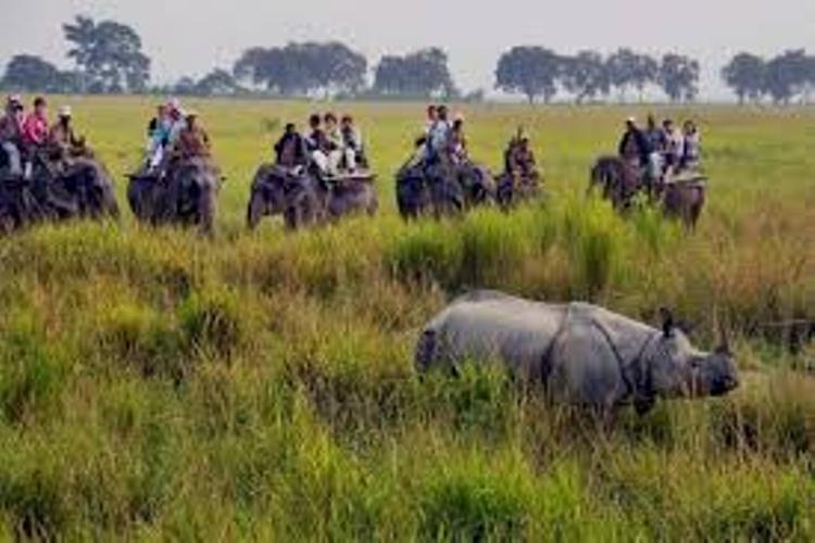 Shree Char Bhuja Travels